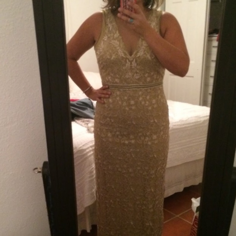 Nicole Miller Embroidered Tulle Gown - Picture 9 of 10